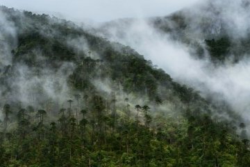 high mountains and mist tawang arunachal pradesh india