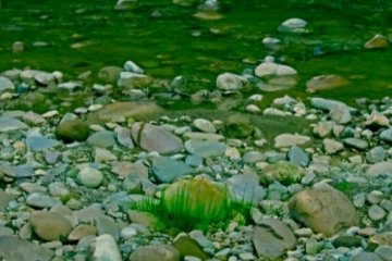 debang river bed arunachal pradesh india