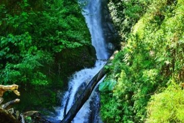 waterfall at arunachal pradesh