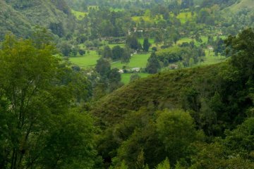 landscape near salento colombia