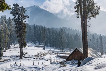 pahalgam valley pahalgam kashmir india